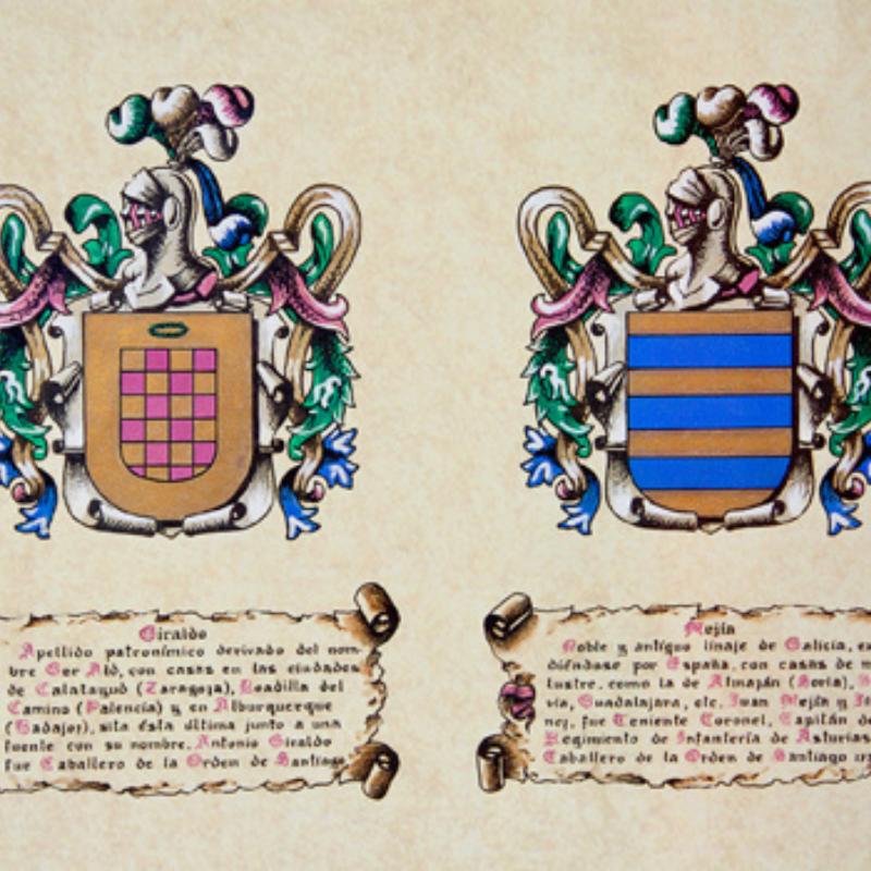 escudo heraldico 5