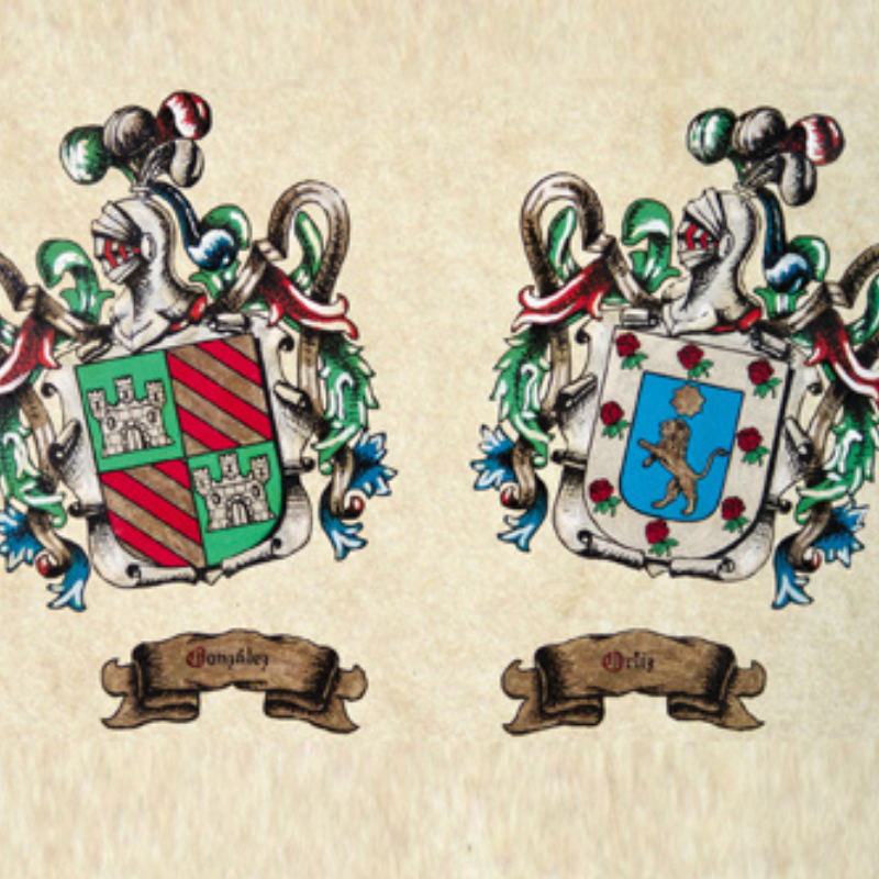 escudo heraldico 6